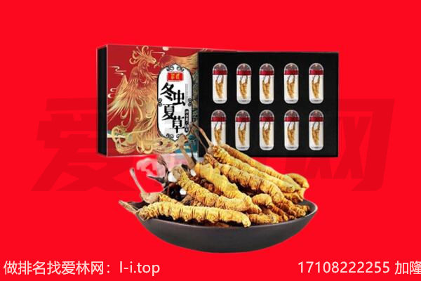 济南市槐荫回收虫草.jpg